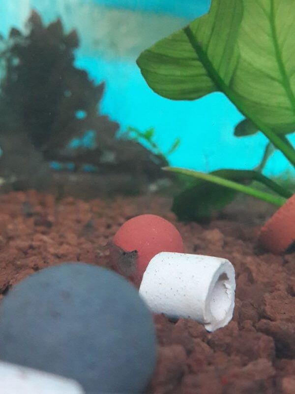 Your Aquahouse