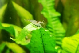 Your Aquahouse