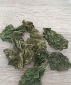 Moerbeiblad voor L-nummer, slakken en garnalen - Youraquahouse.nl