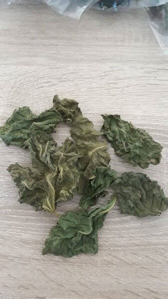 Moerbeiblad voor L-nummer, slakken en garnalen - Youraquahouse.nl