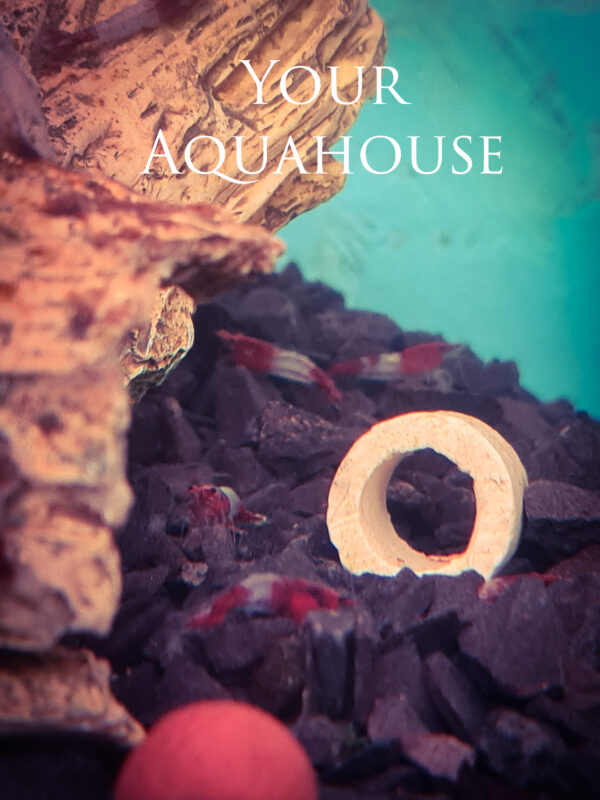 Your Aquahouse