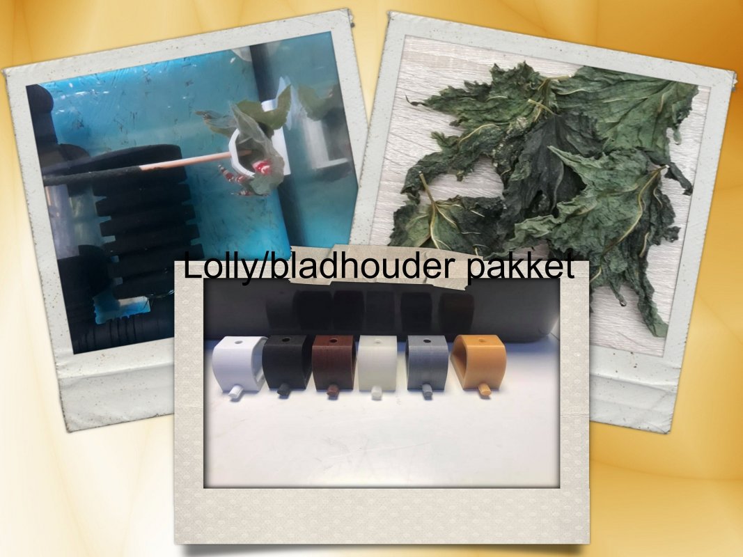 Your Aquahouse