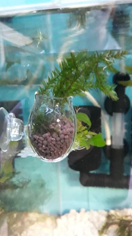 Your Aquahouse