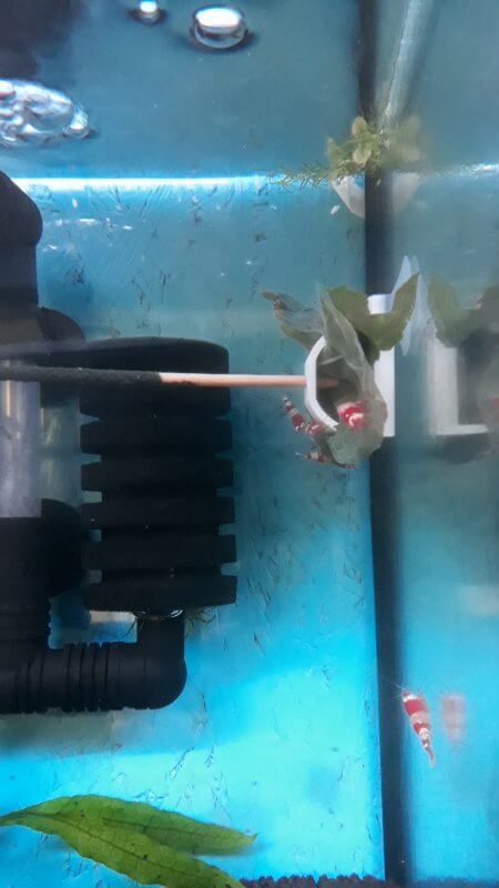 Your Aquahouse