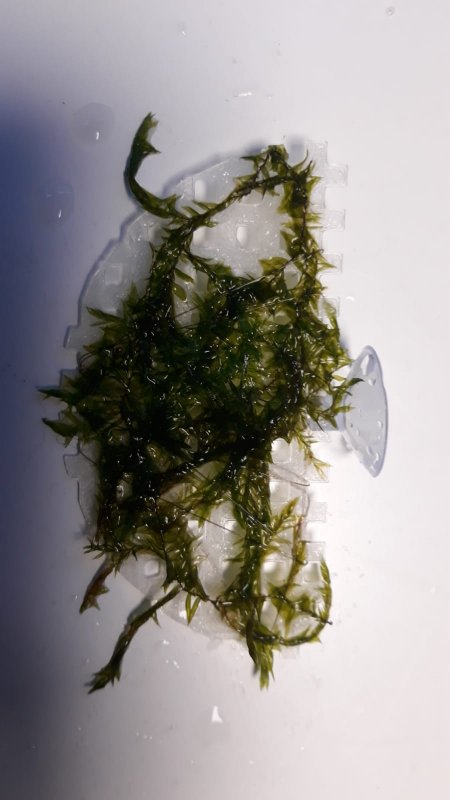 Your Aquahouse