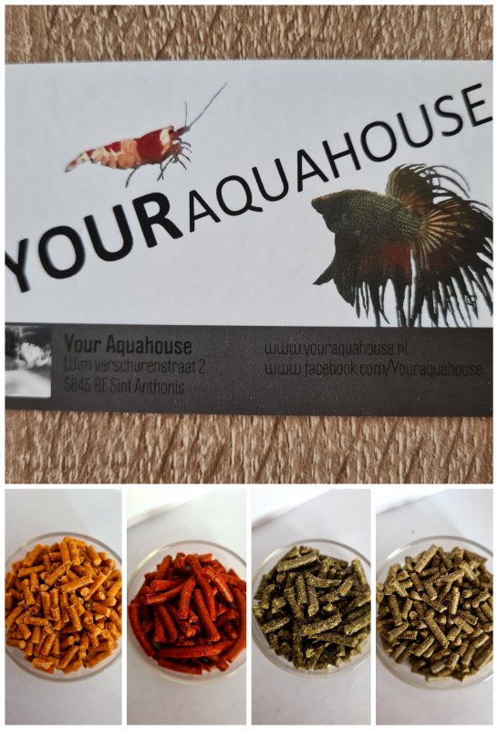 Your Aquahouse