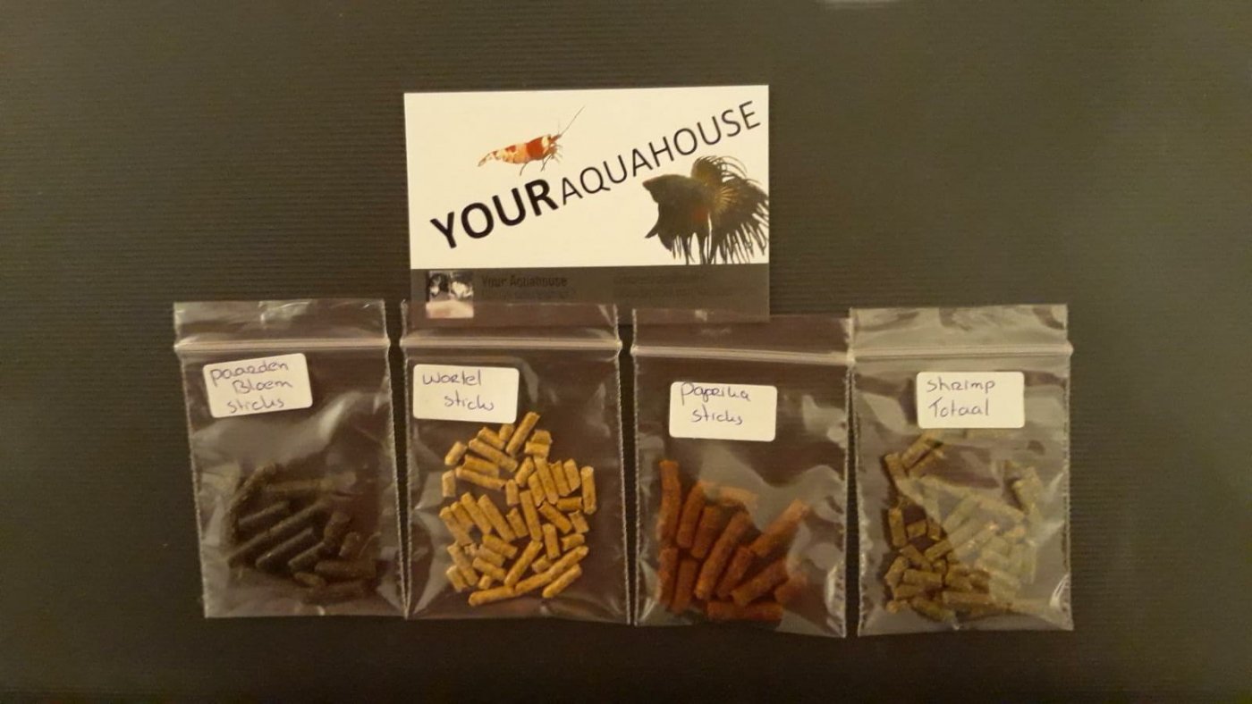 Your Aquahouse