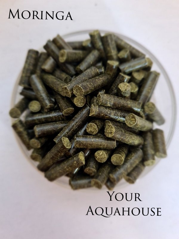 Your Aquahouse