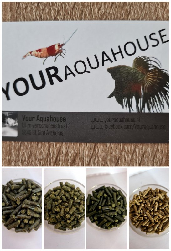 Your Aquahouse
