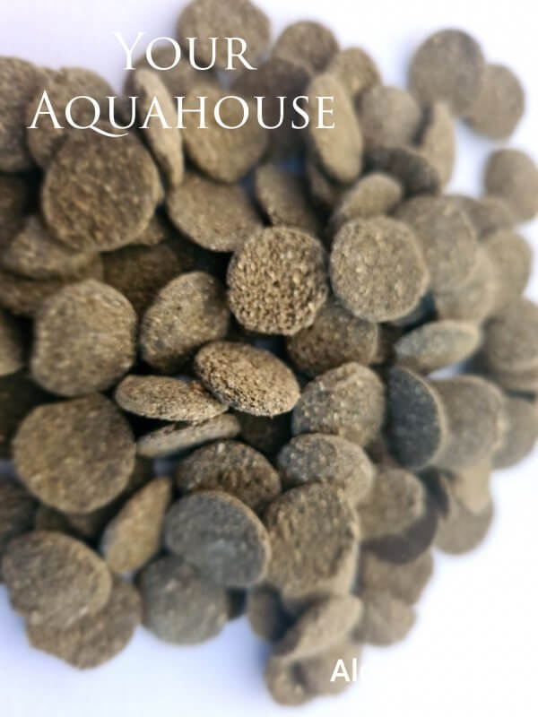 Your Aquahouse
