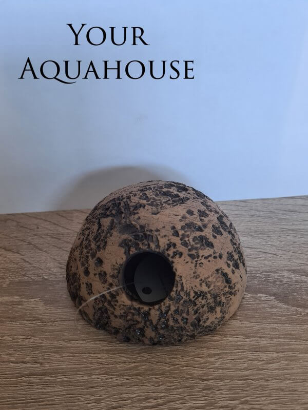 Your Aquahouse