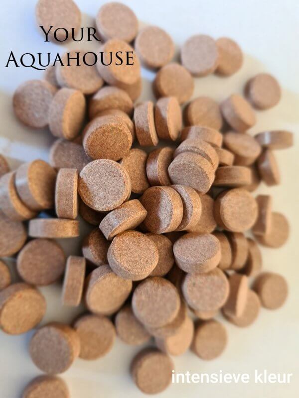 Your Aquahouse