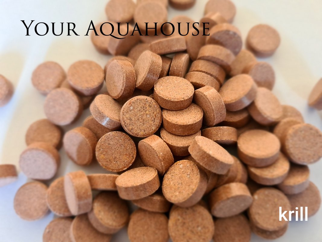 Your Aquahouse