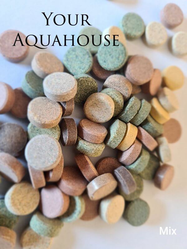 Your Aquahouse