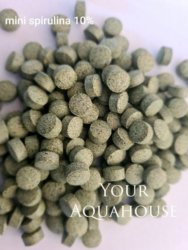 Your Aquahouse