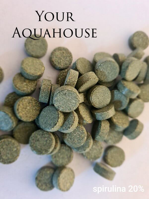 Your Aquahouse