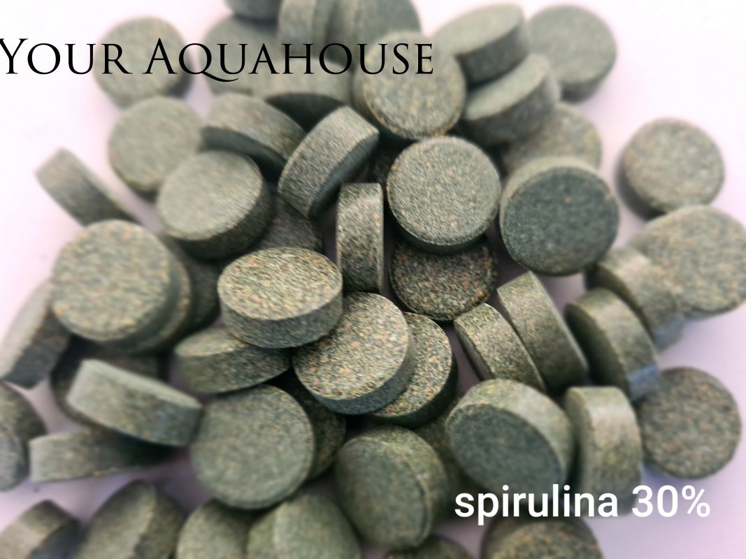 Your Aquahouse