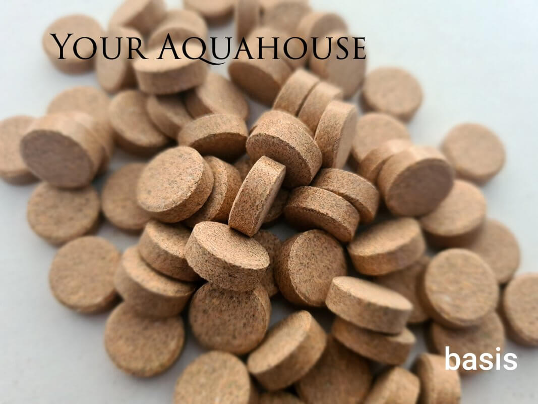 Your Aquahouse