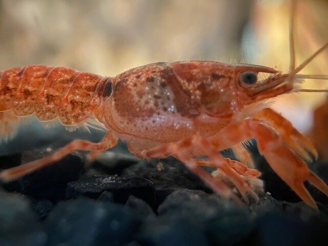 Your Aquahouse