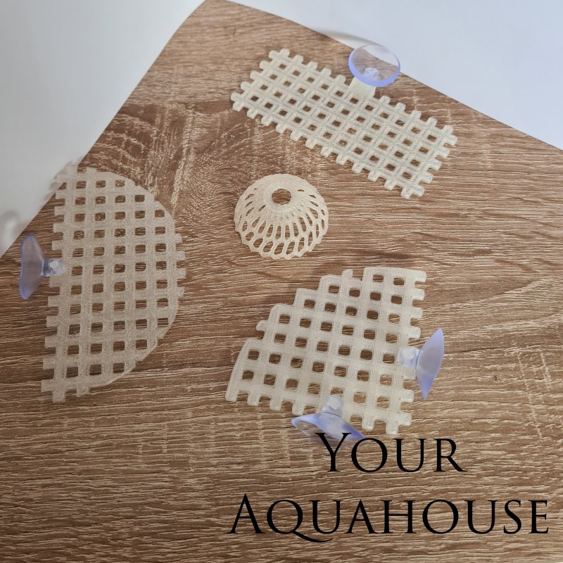 Your Aquahouse