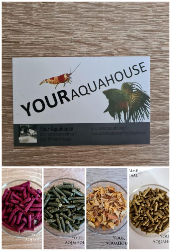 Your Aquahouse