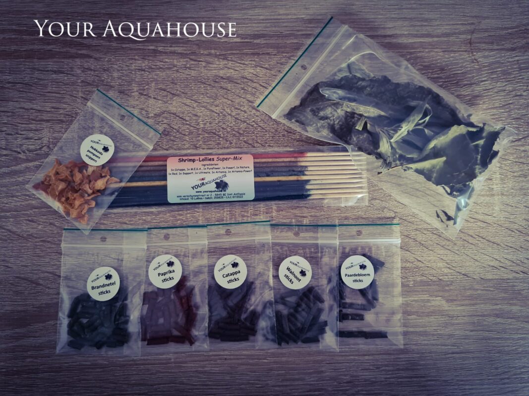Your Aquahouse