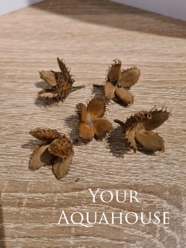 Your Aquahouse