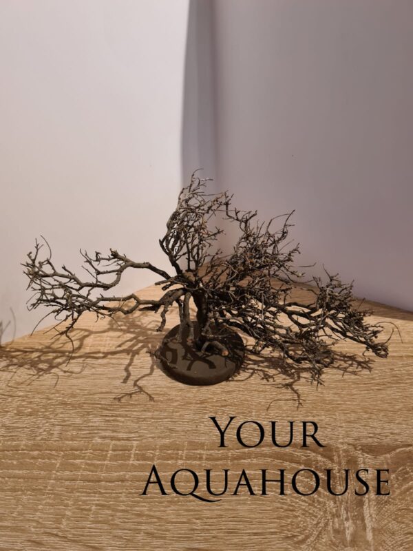 Your Aquahouse