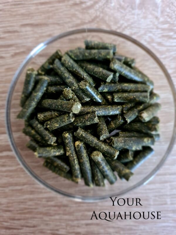 Your Aquahouse