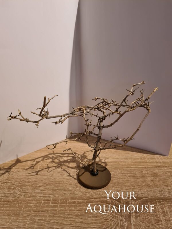 Your Aquahouse