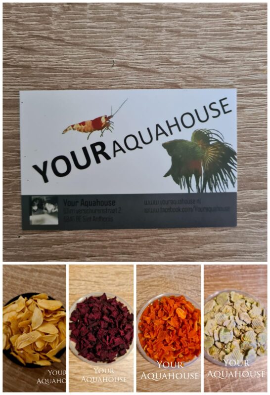 Your Aquahouse