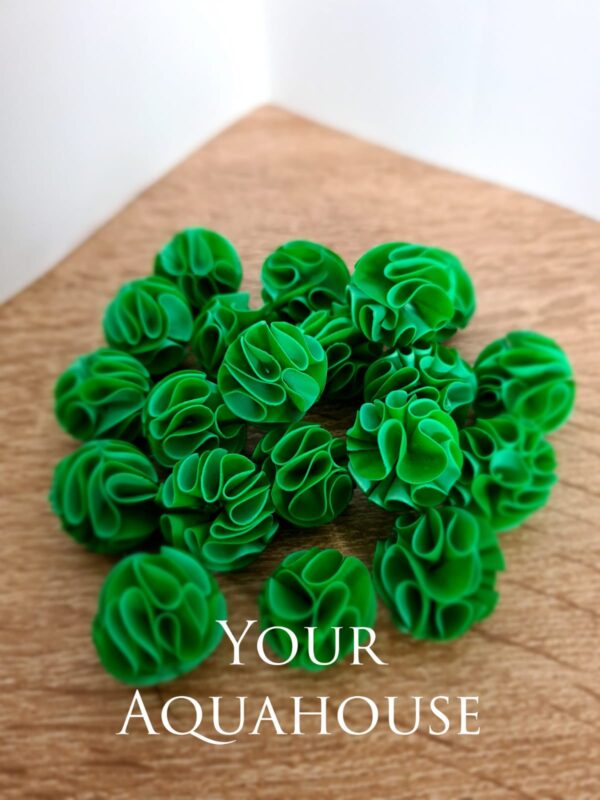 Your Aquahouse