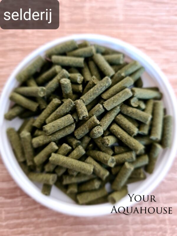 Your Aquahouse