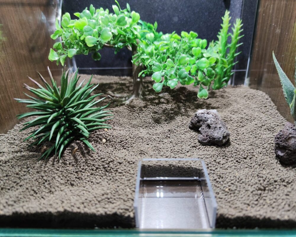 Your Aquahouse