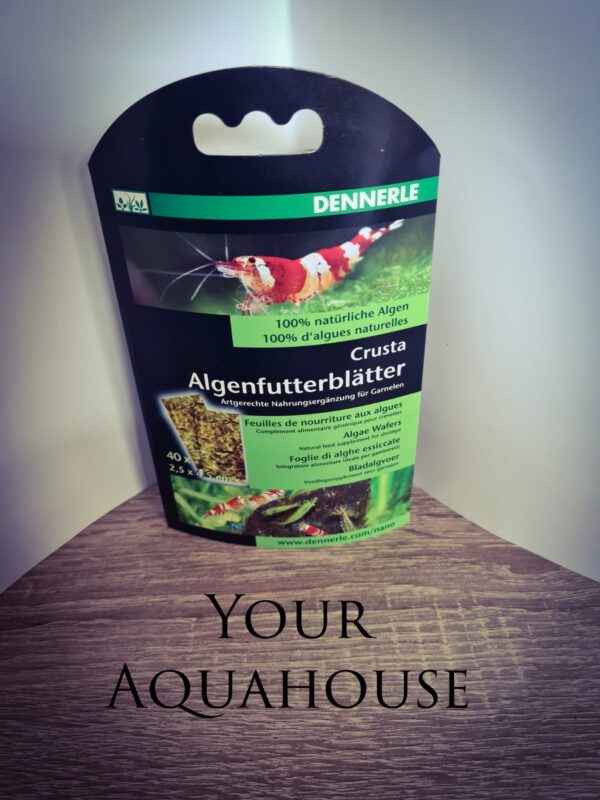 Your Aquahouse