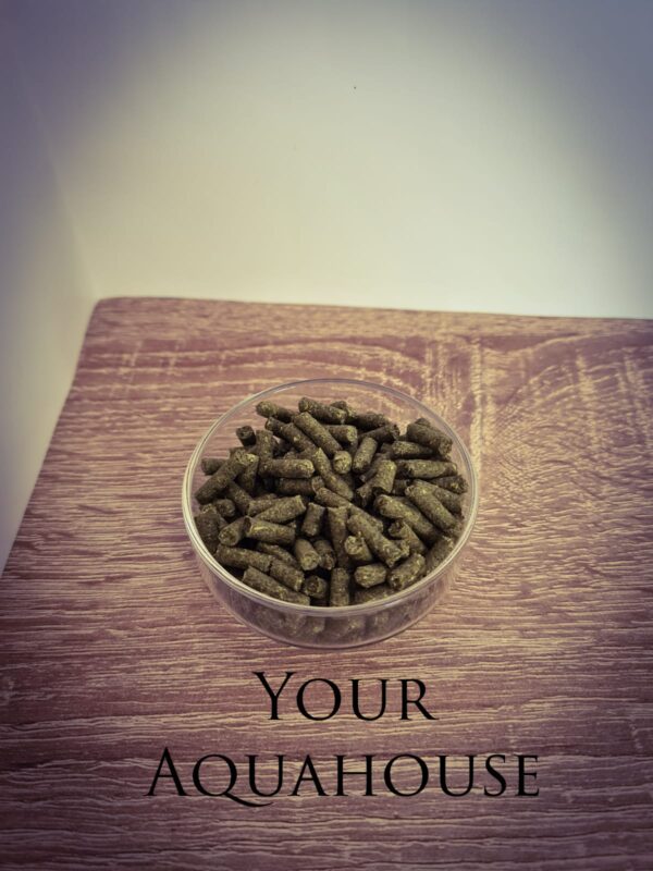 Your Aquahouse