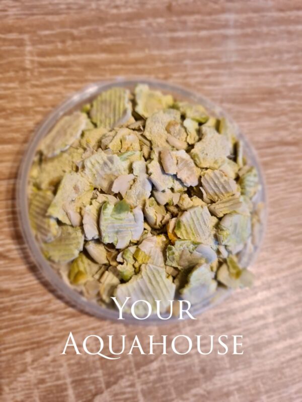 Your Aquahouse