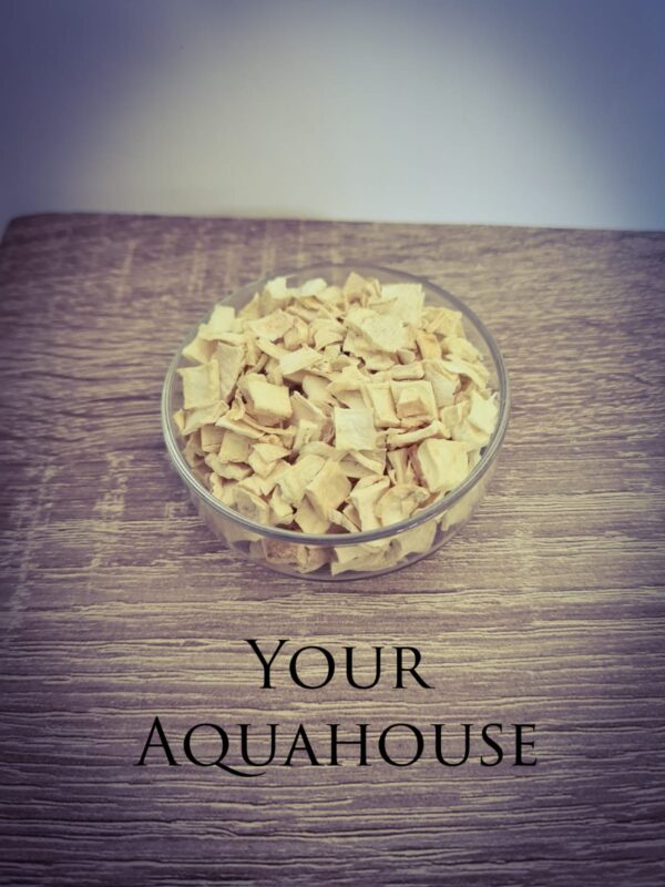 Your Aquahouse