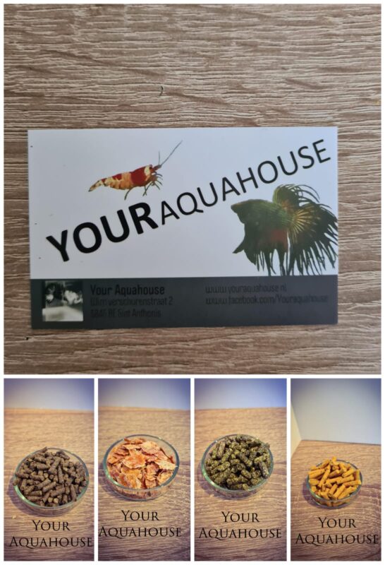 Your Aquahouse