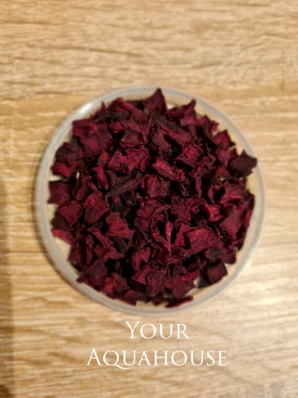 Your Aquahouse