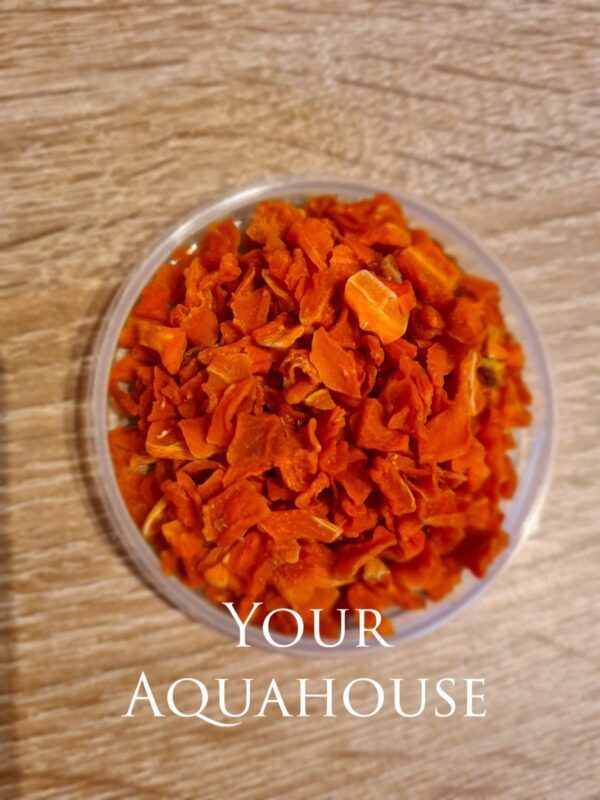 Your Aquahouse
