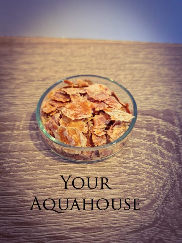 Your Aquahouse
