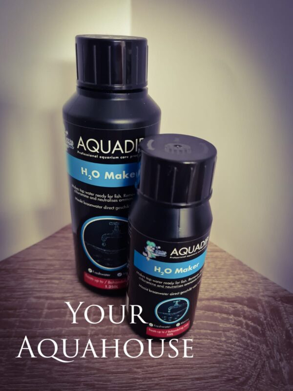 Your Aquahouse