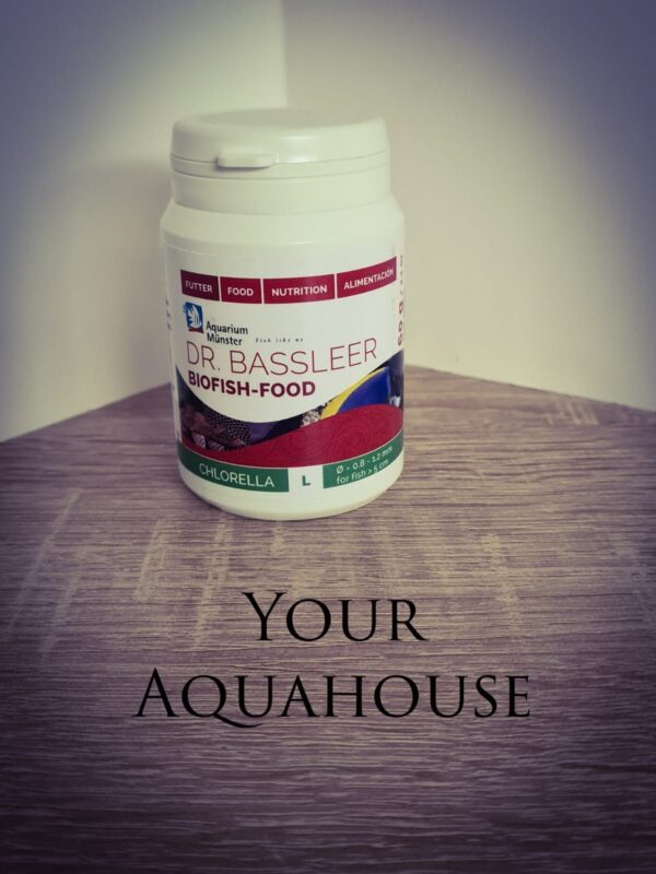 Your Aquahouse