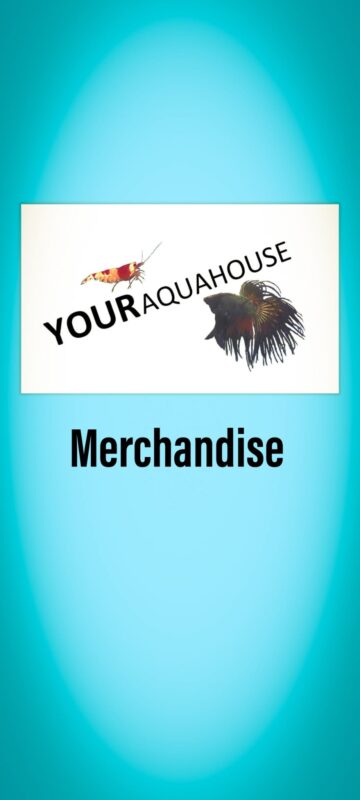 Your Aquahouse