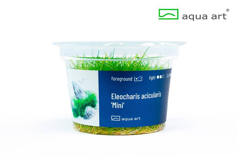 Your Aquahouse