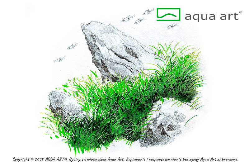 Your Aquahouse