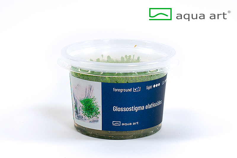 Your Aquahouse