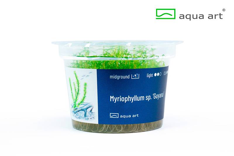 Your Aquahouse