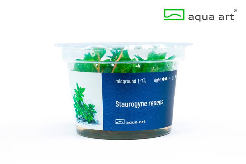 Your Aquahouse